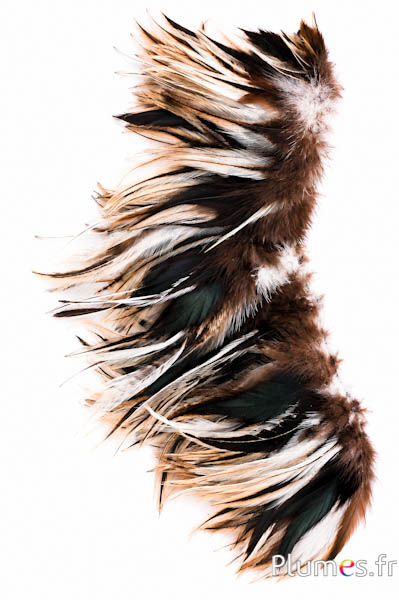 Hahnenkreuz Badger - 10-15 cm - natur